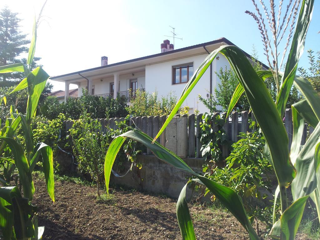 B&B La Casa Di Angelica Розето-дельи-Абруцци Экстерьер фото